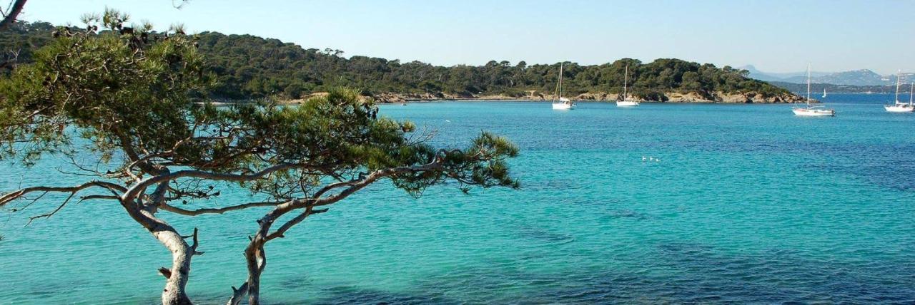 شقة Super Studio Climatise Sur Le Port De Hyères المظهر الخارجي الصورة